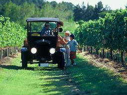Uruguay intenta fomentar el turismo rural e interno para no depender de turistas extranjeros, especialmente de Argentina. Uruguay intenta fomentar el turismo rural e interno para no depender de turistas extranjeros, especialmente de Argentina.