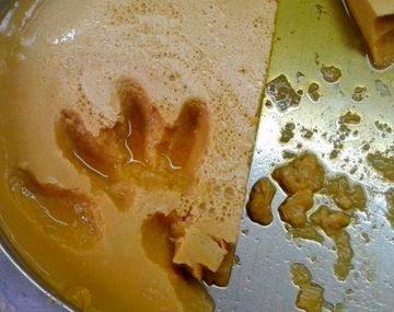 Se robaron hasta el flan de un hogar de niños