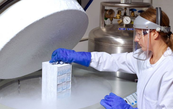 Qué dicen los expertos de la propuesta empresarial para postergar la maternidad