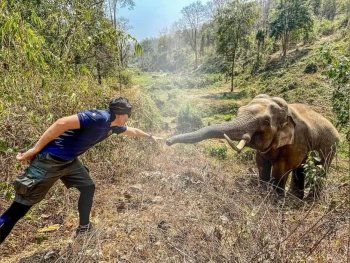 Un elefante saludó al veterinario que lo curó hace 12 años