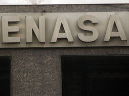 senasa