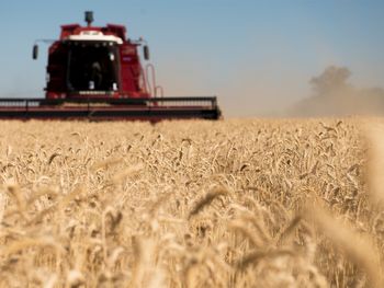 A la espera de una mayor devaluación, la liquidación del campo es la más baja en 10 años