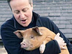 Según un libro, Cameron participó de ceremonias sexuales con cerdos