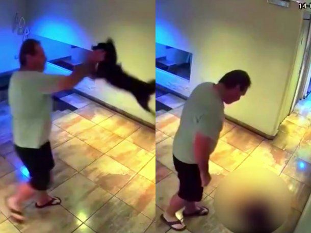 IMÁGENES SENSIBLES: un hombre golpeó brutalmente a su perro en Palermo y lo detuvieron