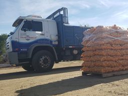 La producción nacional de papa uruguaya se vio fuertemente afectada por los efectos de la sequía. La producción nacional de papa uruguaya se vio fuertemente afectada por los efectos de la sequía.