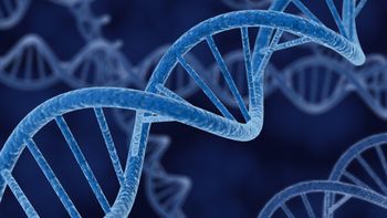 ¿los humanos compartimos genes con nuestros amigos? ¿los humanos compartimos genes con nuestros amigos?