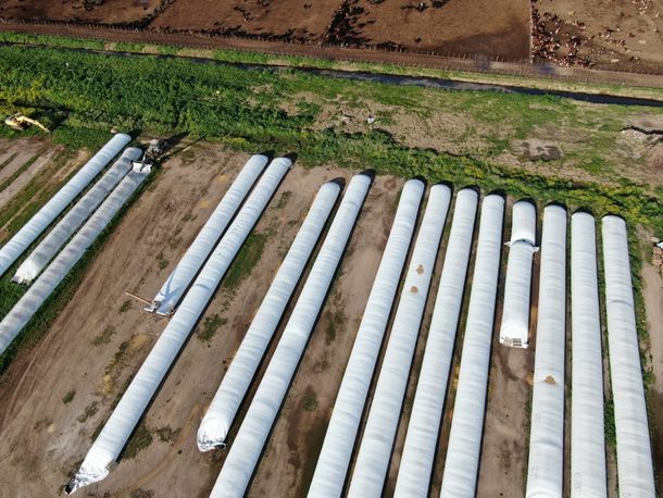 AFIP descubre que productores subdeclararon stoks de granos y les reclama $27.000 millones