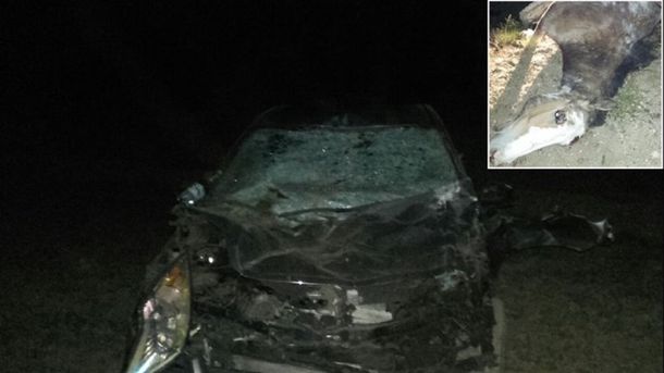 Crédito: Rodolfo Ramírez/lmneuquen.com