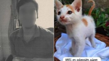 Las denuncias revelan la existencia de al menos 16 gatos muertos y una posible monetización de videos en la deep web con imágenes de torturas. Las denuncias revelan la existencia de al menos 16 gatos muertos y una posible monetización de videos en la deep web con imágenes de torturas.