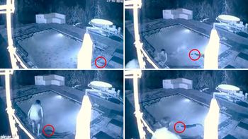 El ataque de un cocodrilo a una pareja en una pileta El ataque de un cocodrilo a una pareja en una pileta