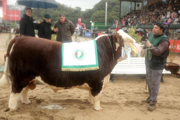 Las mejores fotos de la exposición Rural