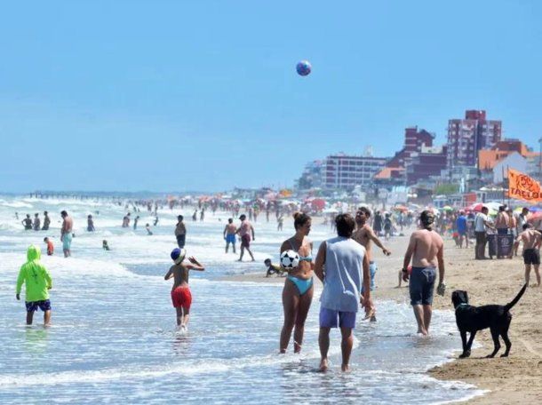 Tapiocas invadieron la Costa Atlántica: qué son y qué hacer si te pican