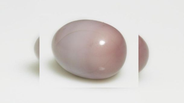 Encuentra una perla valuada en 10 mil dólares adentro de su guiso de almejas