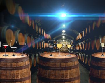 Cada vino tiene su temperatura ideal