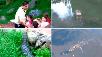 parque del terror: un empleado espanto a un caiman cercano a un popular juego de disney parque del terror: un empleado espanto a un caiman cercano a un popular juego de disney