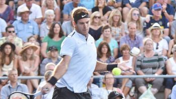 Juan Martín Del Potro vs. David Ferrer Juan Martín Del Potro vs. David Ferrer