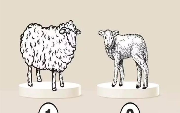 Test viral: el animal que elijas revelará el defecto que siempre intentás ocultar