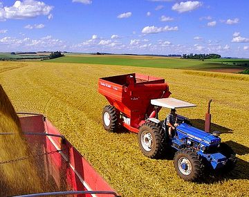 Quieren que cerealeras suscriban US$200 en Baade