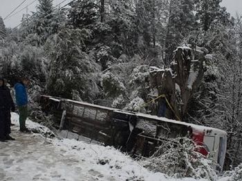 Cayeron por un barranco y los salvó un árbol