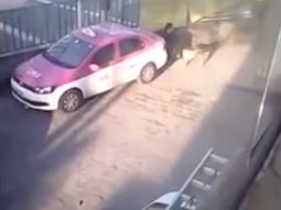 video escrachan a un hombre que tenia sexo con perros callejeros video escrachan a un hombre que tenia sexo con perros callejeros