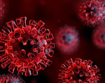 En Argentina avanza la b&uacute;squeda de la cura al coronavirus