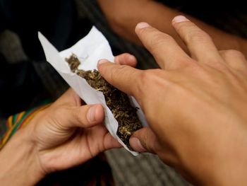 En Uruguay venderán a un dólar el gramo de marihuana