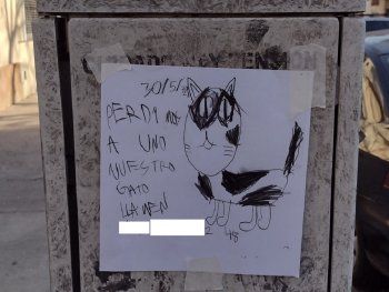 Historia viral y con final feliz: hizo dibujos a mano para recuperar a su gato perdido