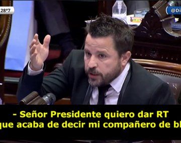 Los memes por el papelón de Martín Tetaz en Diputados