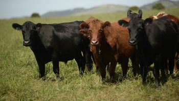 El Uruguay facturó un total de $2.711.752 de dolares en exportación. El Uruguay facturó un total de $2.711.752 de dolares en exportación.