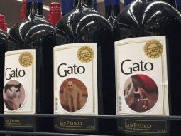 Le pegó memes de gatos a botellas de vino, se volvió viral y la bodega lo contrató