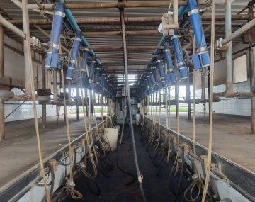 Sancor trabaja al mínimo de su capacidad: despidieron a 350 empleados