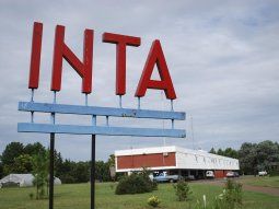 El Gobierno designó nuevas autoridades en el INTA tras pasarle la motosierra