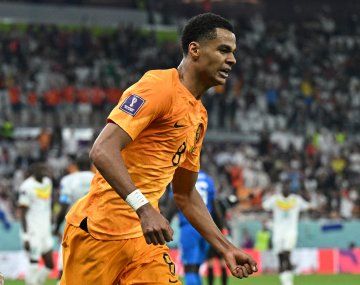 Mundial de Qatar 2022: los goles de Países Bajos frente a Senegal
