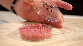 Sebastián Da Silva busca evitar que se etiquete como producto cárnico a las carnes de laboratorio. Sebastián Da Silva busca evitar que se etiquete como producto cárnico a las carnes de laboratorio.