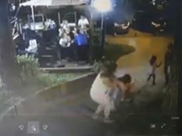 Un pino de 13 metros cayó sobre una nena de 5 años en Costa del Este