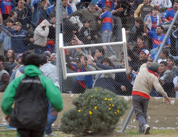 Tigre--violencia