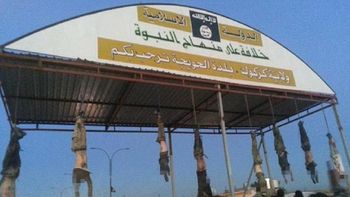 isis colgo ocho cuerpos de iraquies isis colgo ocho cuerpos de iraquies