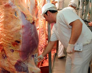 Casamiquela confirmó que Argentina seguirá exportando carne a China