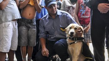 Un perro hizo que echaran a un jefe de policía en Corrientes Un perro hizo que echaran a un jefe de policía en Corrientes