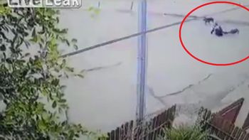 Dos perros atacan a una mujer en el medio de la calle Dos perros atacan a una mujer en el medio de la calle