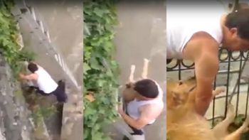 El hombre salvó al perro El hombre salvó al perro