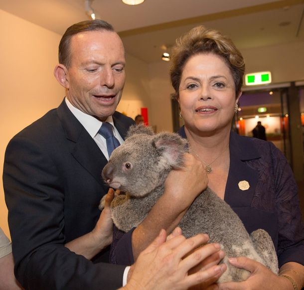 Los koalas se metieron en la cumbre G20 en Australia