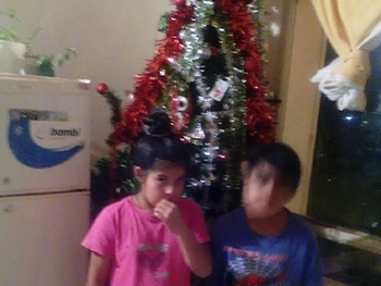 Un nene pidió un árbol de Navidad por Facebook.