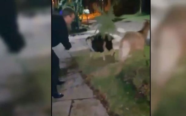 Se acabó el paseo de cabras: a Conzi le cortaron la distancia en la que puede moverse