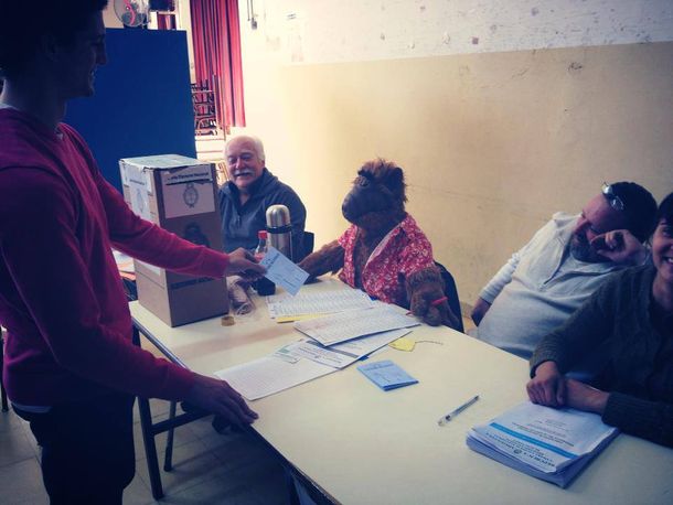 Alf, una autoridad de mesa muy especial