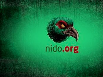 Hombres anónimos publican información personal de mujeres en esta web.