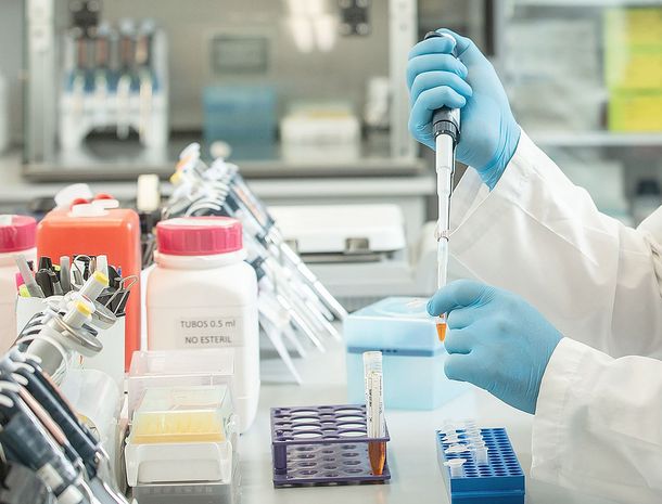 Coronavirus: en qué casos se podrá utilizar el suero equino y el plasma