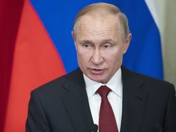 Vladimir Putin&nbsp;