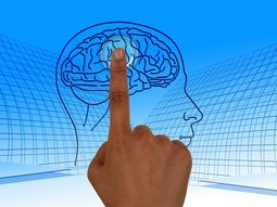 Recuperar recuerdos borrados