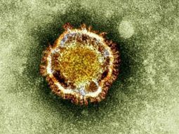 Temor en Reino Unido por un virus altamente letal